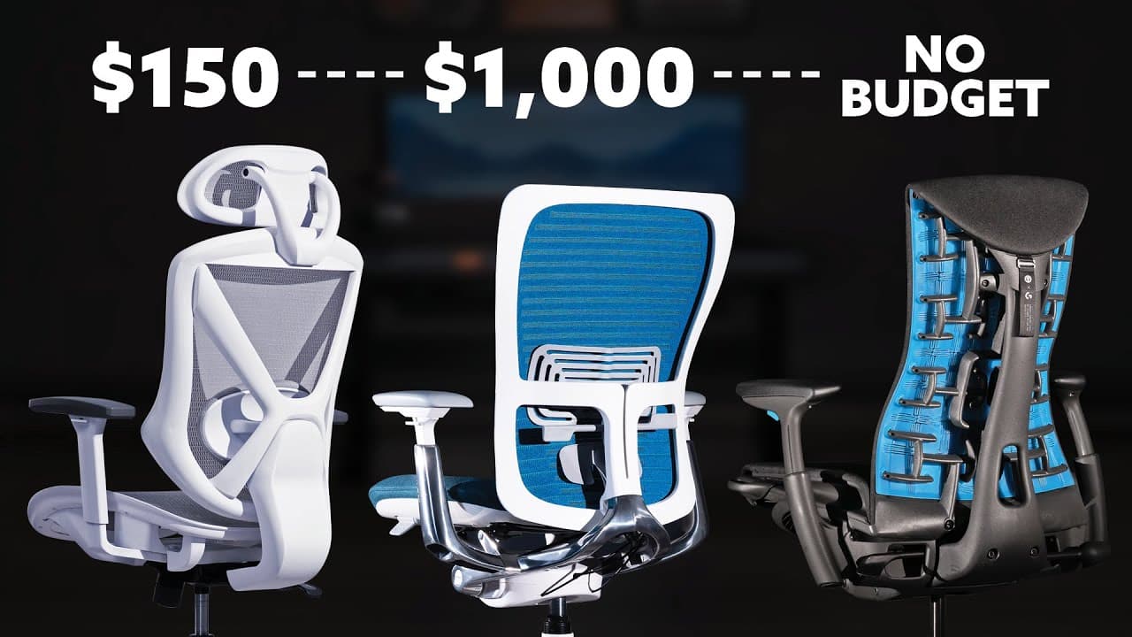 Branch Ergonomic Chair